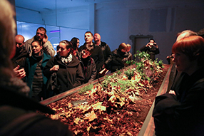 INSTALATION-Vicky-Isley-Paul-Smith