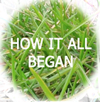 story